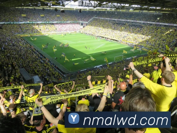 问鼎娱乐APP 封面图